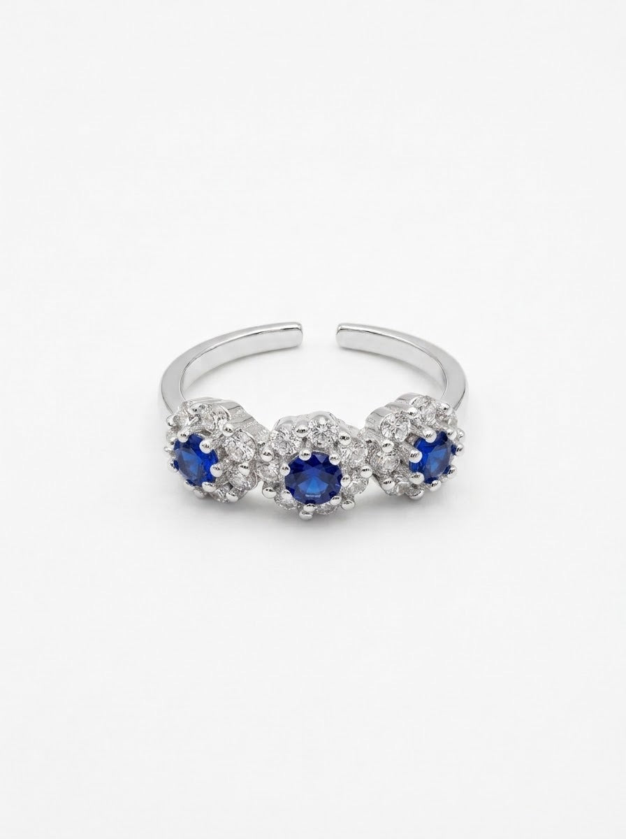 Anello DANUBIO