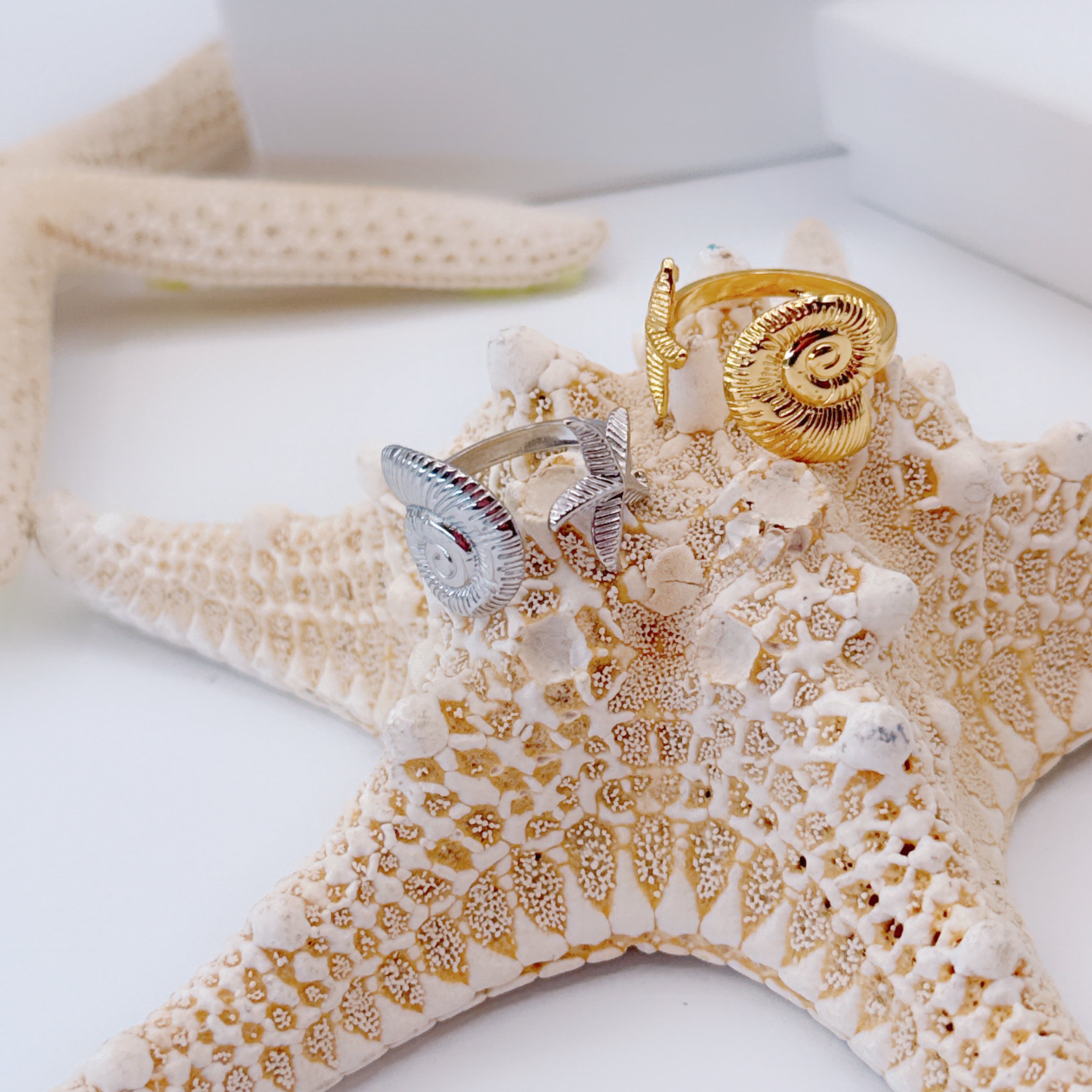 Anello Conchiglia & Stella