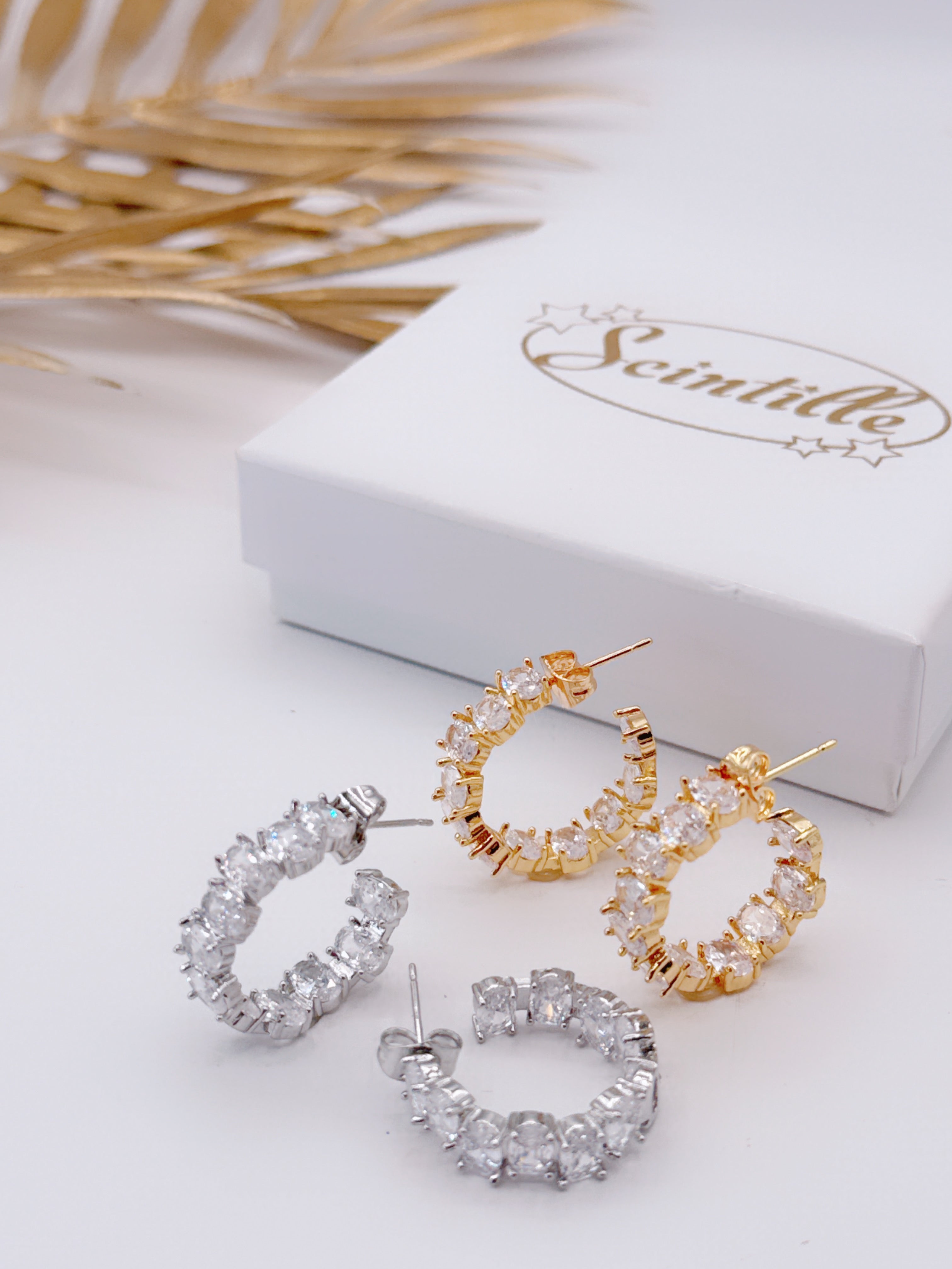 Orecchini Cerchio Super Lusso 2,5 cm