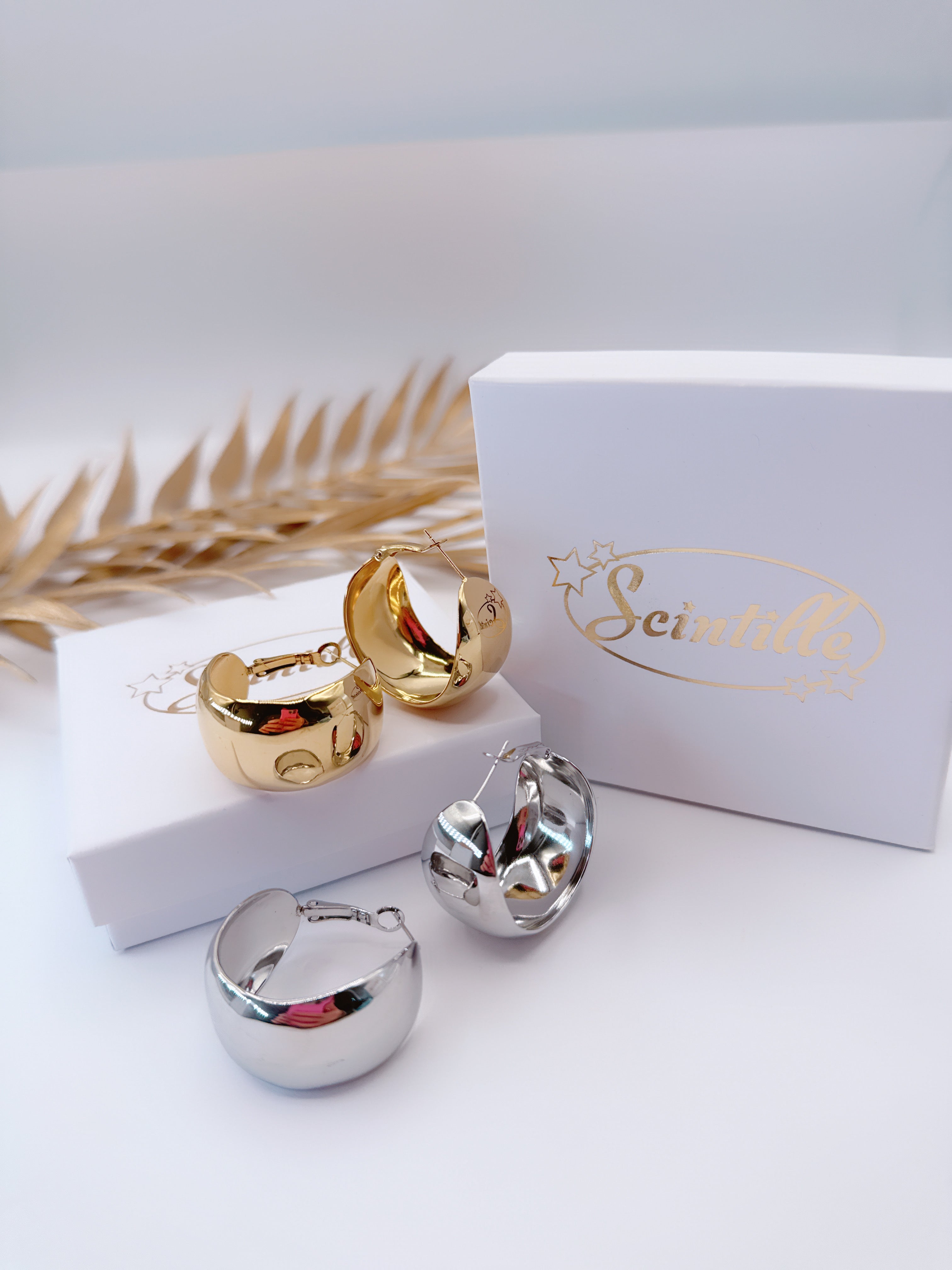 Orecchini Big Cerchio