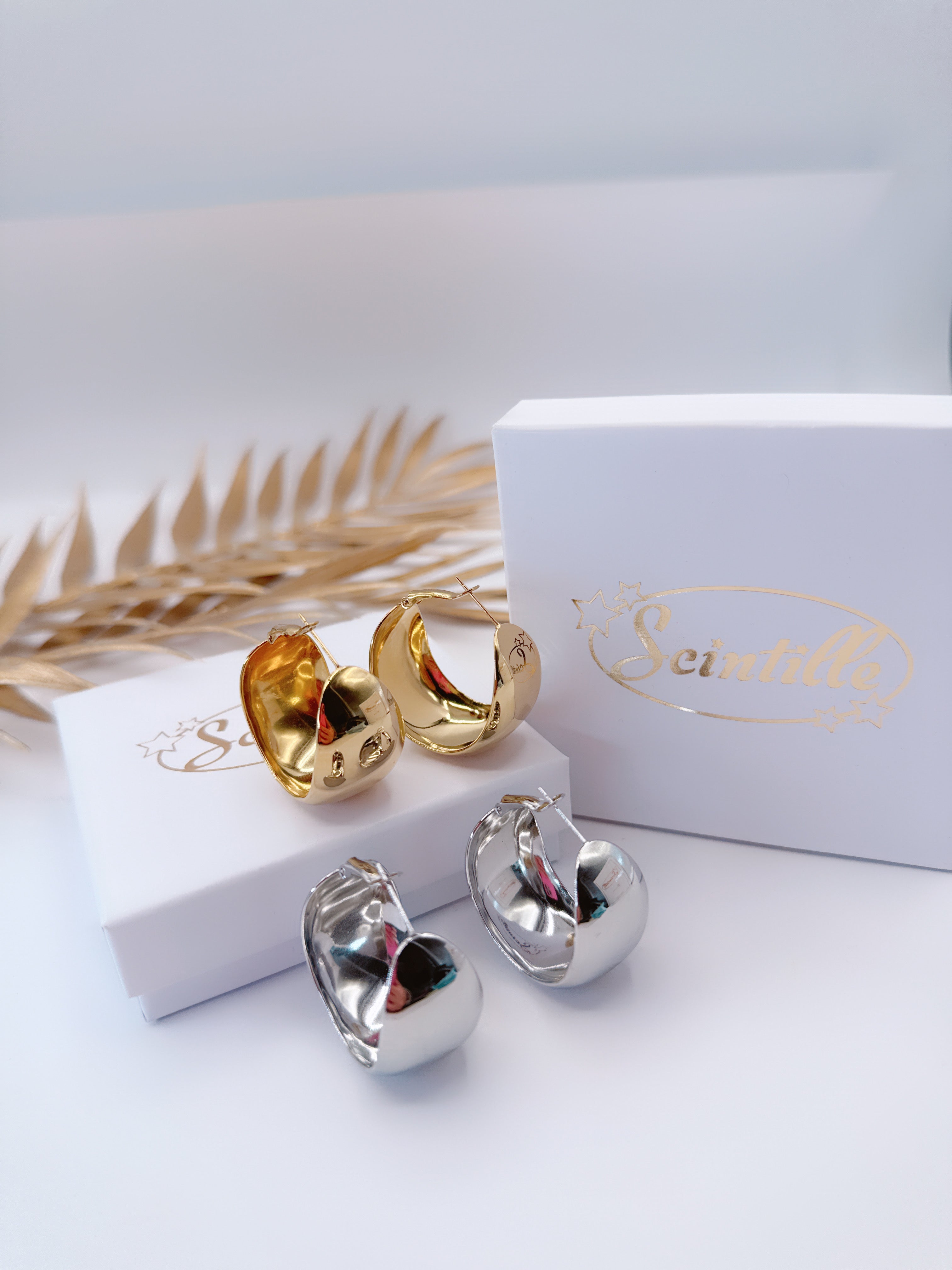 Orecchini Big Cerchio