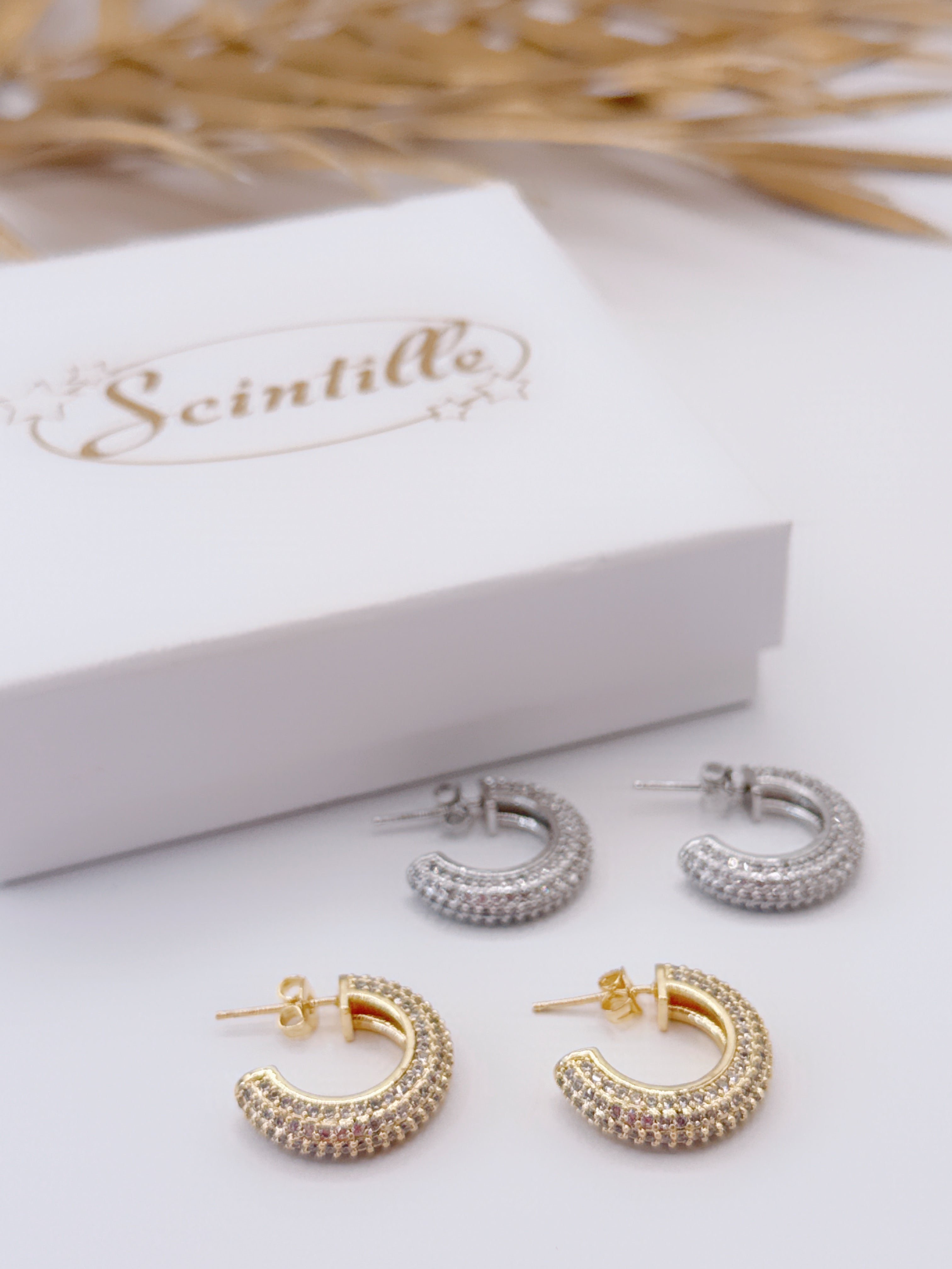 Orecchini Cerchio Lusso